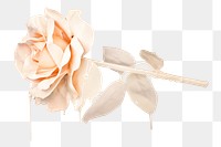 Melting rose png flower sticker, Valentine's image on transparent background