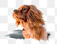 PNG brown fluffy puppy, collage element, transparent background