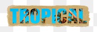 Tropical png typography, beach island palm trees, torn paper in transparent background