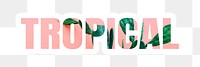 Tropical png word, cactus in pink, transparent background