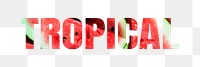 Tropical png sticker, red watermelon, transparent background