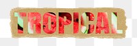 Tropical png sticker, red watermelon, torn paper in transparent background