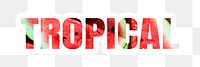 Tropical png sticker, red watermelon, transparent background