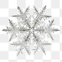 Aesthetic snowflake png sticker, Christmas image, transparent background