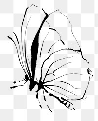 Aesthetic butterfly png sticker, insect illustration, transparent background