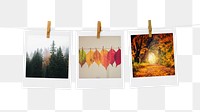 Nature aesthetic png sticker, instant photos mood board on transparent background