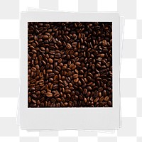 Organic coffee bean png sticker, instant photo on transparent background