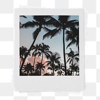 Summer trees aesthetic png, instant photo film on transparent background