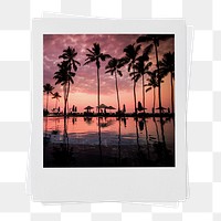Summer sunset png sticker, palm trees aesthetic instant photo film on transparent background