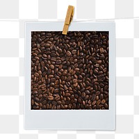 Organic coffee bean png sticker, instant photo on transparent background