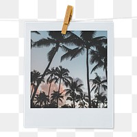 Summer trees aesthetic png, instant photo film on transparent background