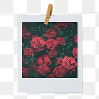 Valentine's roses png instant photo sticker, red flower aesthetic transparent background