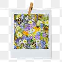 Spring flowers png sticker, aesthetic instant photo on transparent background