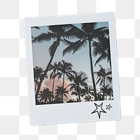 Summer trees aesthetic png, instant photo film on transparent background