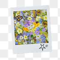 Spring flowers png sticker, aesthetic instant photo on transparent background