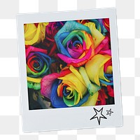 Rose flowers png instant photo sticker, gay pride celebration image on transparent background