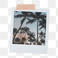 Summer trees aesthetic png, instant photo film on transparent background