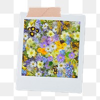 Spring flowers png sticker, aesthetic instant photo on transparent background