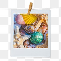 Aesthetic seashells png instant photo sticker, Summer vacation image on transparent background