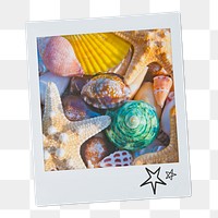 Aesthetic seashells png instant photo sticker, Summer vacation image on transparent background