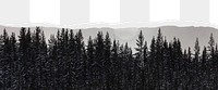 Forest png ripped paper border, transparent background