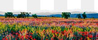 Wildflower png ripped paper border, transparent background