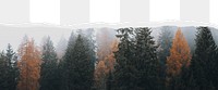 Forest png ripped paper border, transparent background