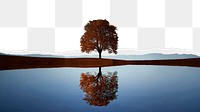 Lake & tree png ripped paper border, transparent background