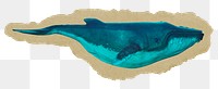 Whale  png sticker, ripped paper, transparent background