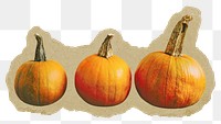 Pumpkin png sticker, ripped paper, transparent background