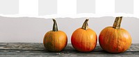 Autumn pumpkins png, ripped paper border, transparent background