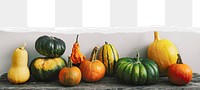 Autumn gourds png, ripped paper border, transparent background