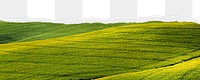 Green field png ripped paper border, transparent background