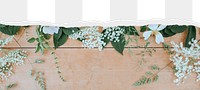 Botanical png ripped paper border, transparent background