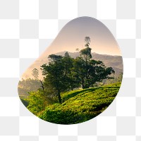 Beautiful nature png badge sticker, environment photo in blob shape, transparent background