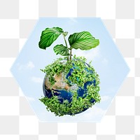 Green earth png badge sticker, environment photo in hexagon shape, transparent background