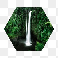 Beautiful waterfall png badge sticker, nature photo in hexagon shape, transparent background