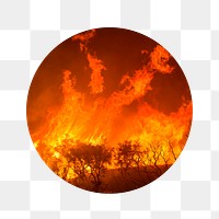 Wildfire png badge sticker, global warming, climate change photo, transparent background