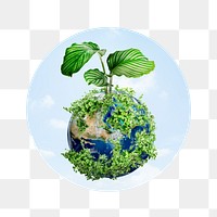 Green earth png badge sticker, environment photo, transparent background