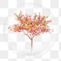 Autumn tree png sticker, watercolor nature illustration in bubble, transparent background