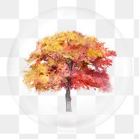 Autumn tree png sticker, watercolor nature illustration in bubble, transparent background