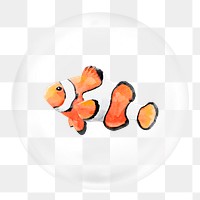 Clownfish png sticker, watercolor animal in bubble, transparent background