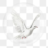 White dove png sticker, animal in bubble, transparent background