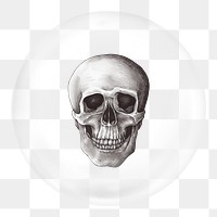 Human skull png sticker, vintage Halloween in bubble, transparent background