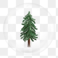 Christmas tree png bubble sticker, nature concept art, transparent background