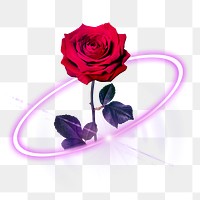 Digital rose png, love and technology digital sticker in transparent background