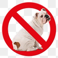 No pet png sticker, forbidden sign on transparent background