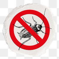 No cockroach png symbol, forbidden sign on transparent background, ripped paper badge