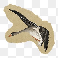 Png Birds at full moon sticker, Ohara Koson's vintage illustration on ripped paper, transparent background