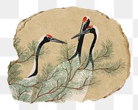 Png Kamisaka Sekka's cranes sticker, bird vintage illustration on ripped paper, transparent background